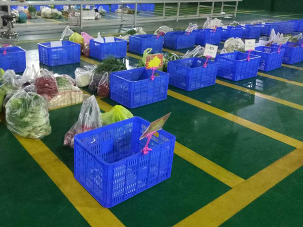 黃江工廠蔬菜配送案例